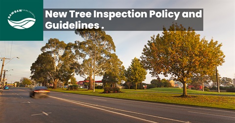 BBSC_Facebook_Tree Inspection Policy Guidelines copy.jpg