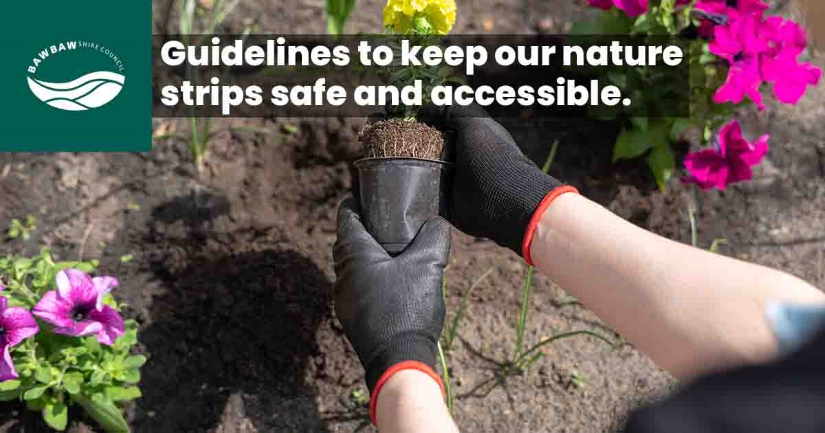 Keeping Baw Baw’s nature strips safe with clear guidelines.