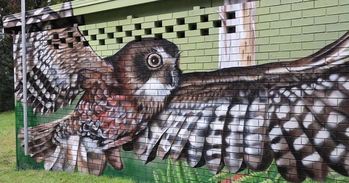 BBSC_Facebook_Mural3.jpg