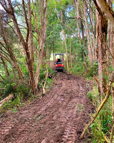 Start of works for the wetlands nature walk