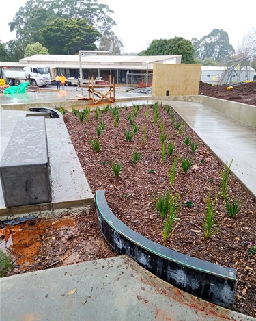 The skate park is nearing completion, with safety rails and peripheral items to be installed.