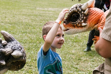 Ashton Drysdale with the animal attractions