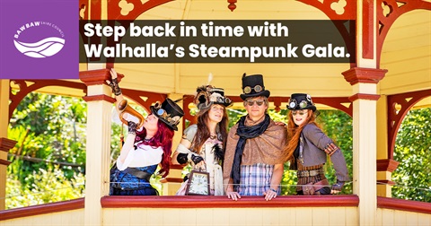 Steampunk Gala_FB.jpg