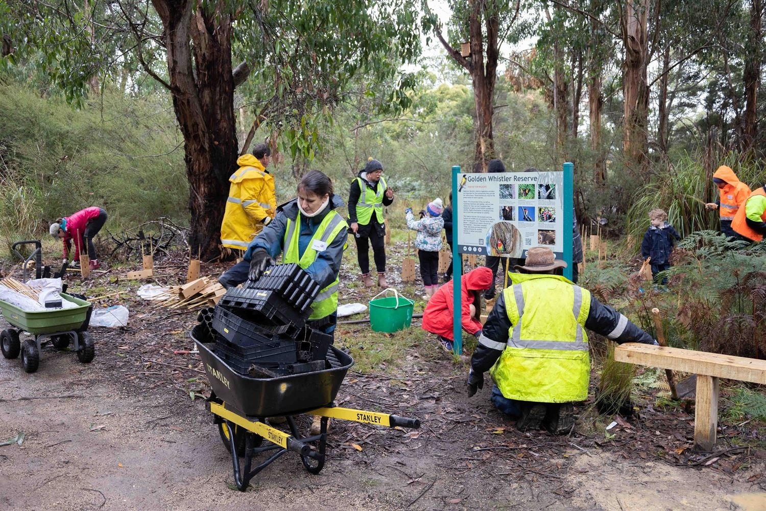Tree Planting Underway.JPG