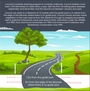 Council Roadside Slashing Infographic