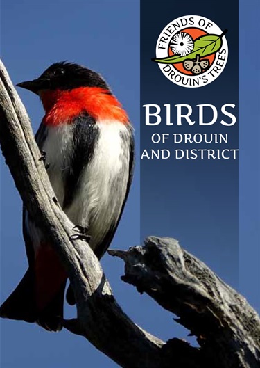Birds of Drouin Book Two