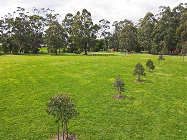 Bellbird Park Fenced Dog Park, Drouin