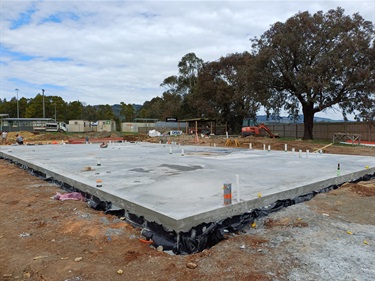 DowtonProgress10.jpg