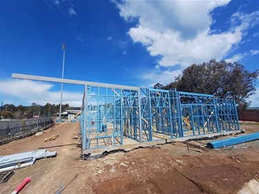DowtonProgress13.jpg