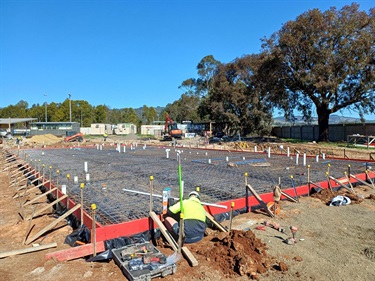 DowtonProgress4.jpg