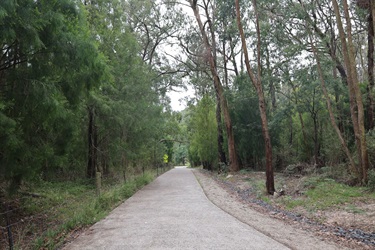 Rokeby-to-Noojee-Trail-Stage-One-Opening3.jpg