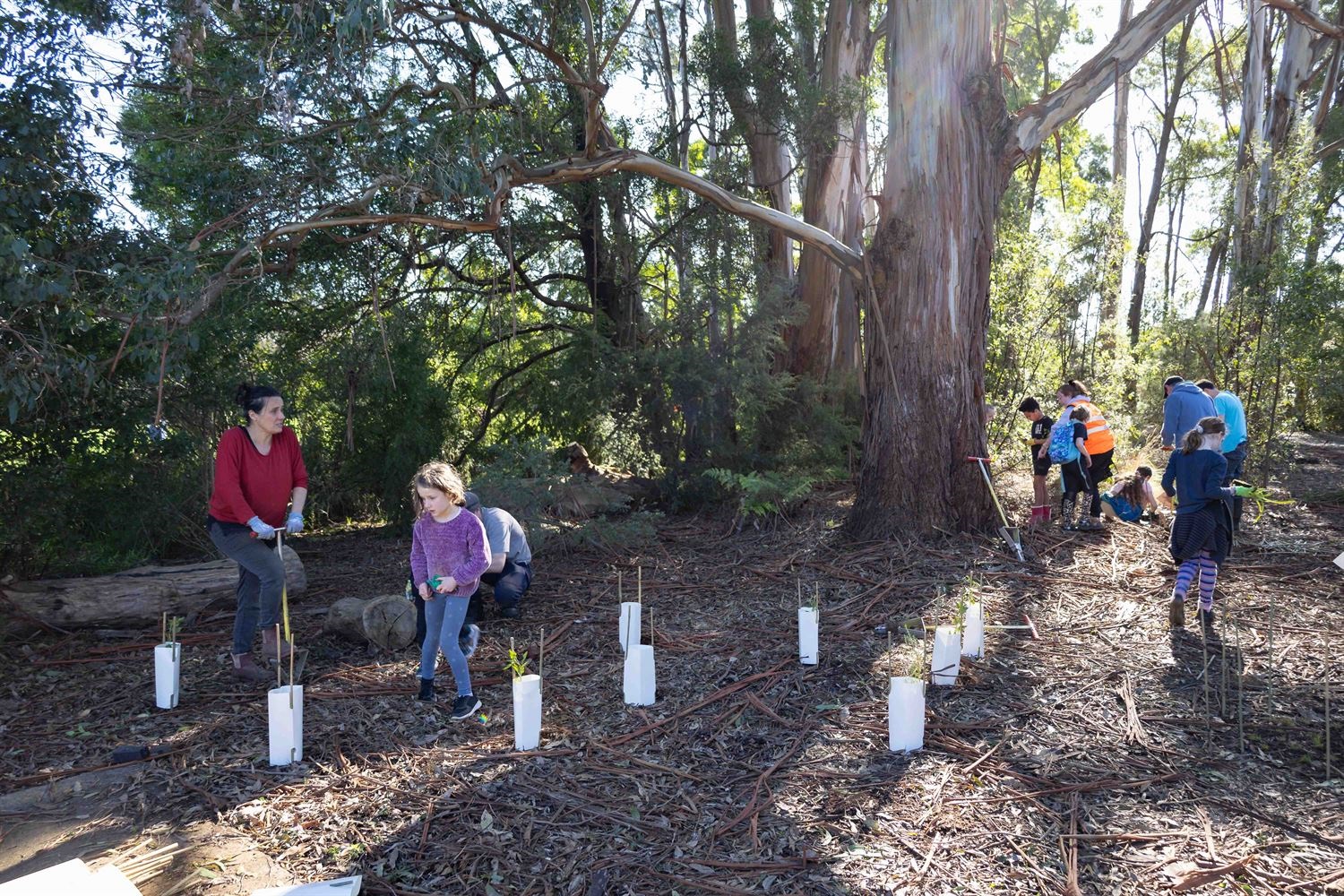 Community digs deep for National Tree Day