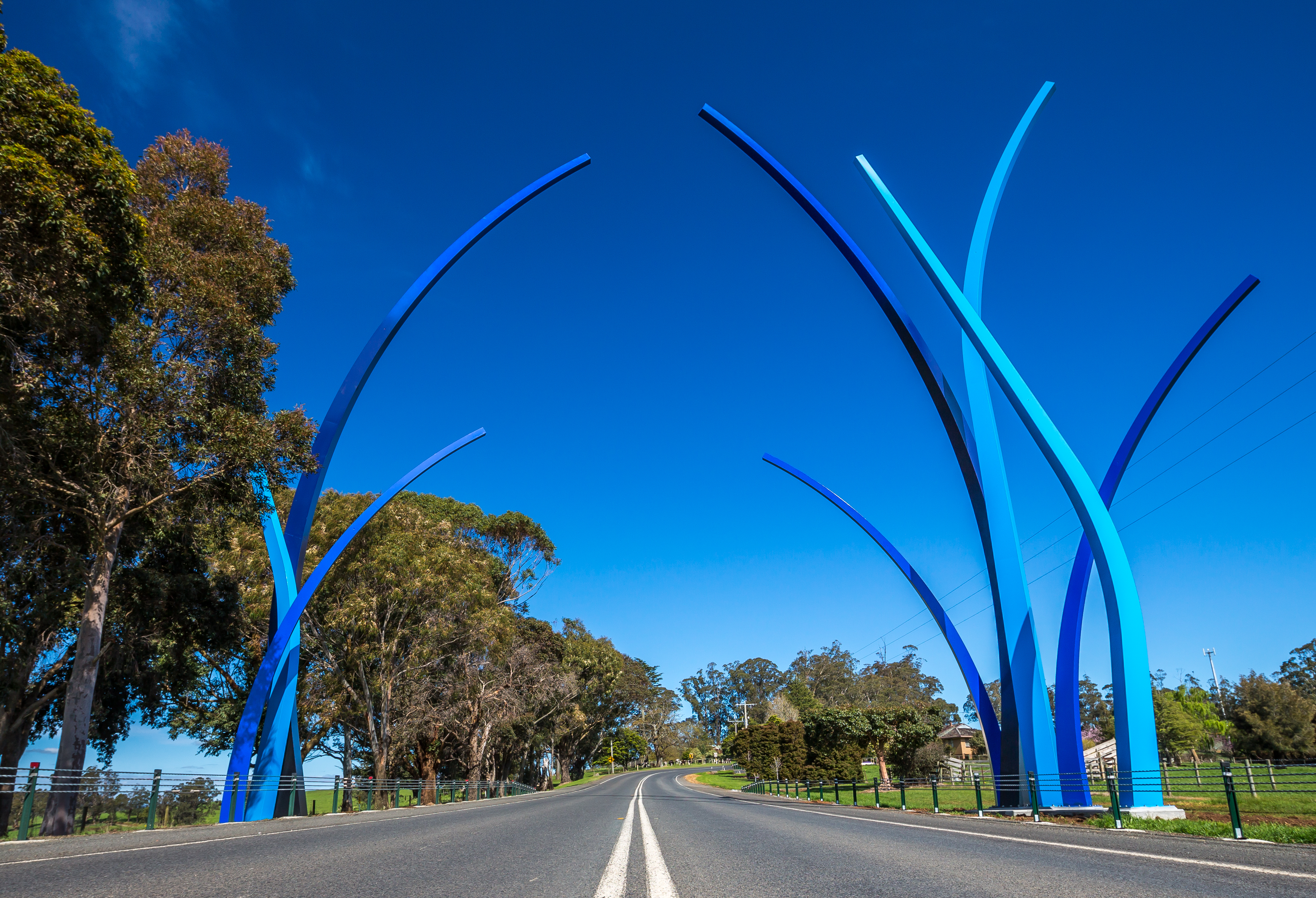 Neerim-Bower-5.jpg