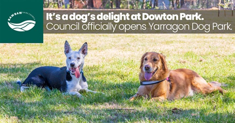 Yarragon Dog Park_MR.jpg