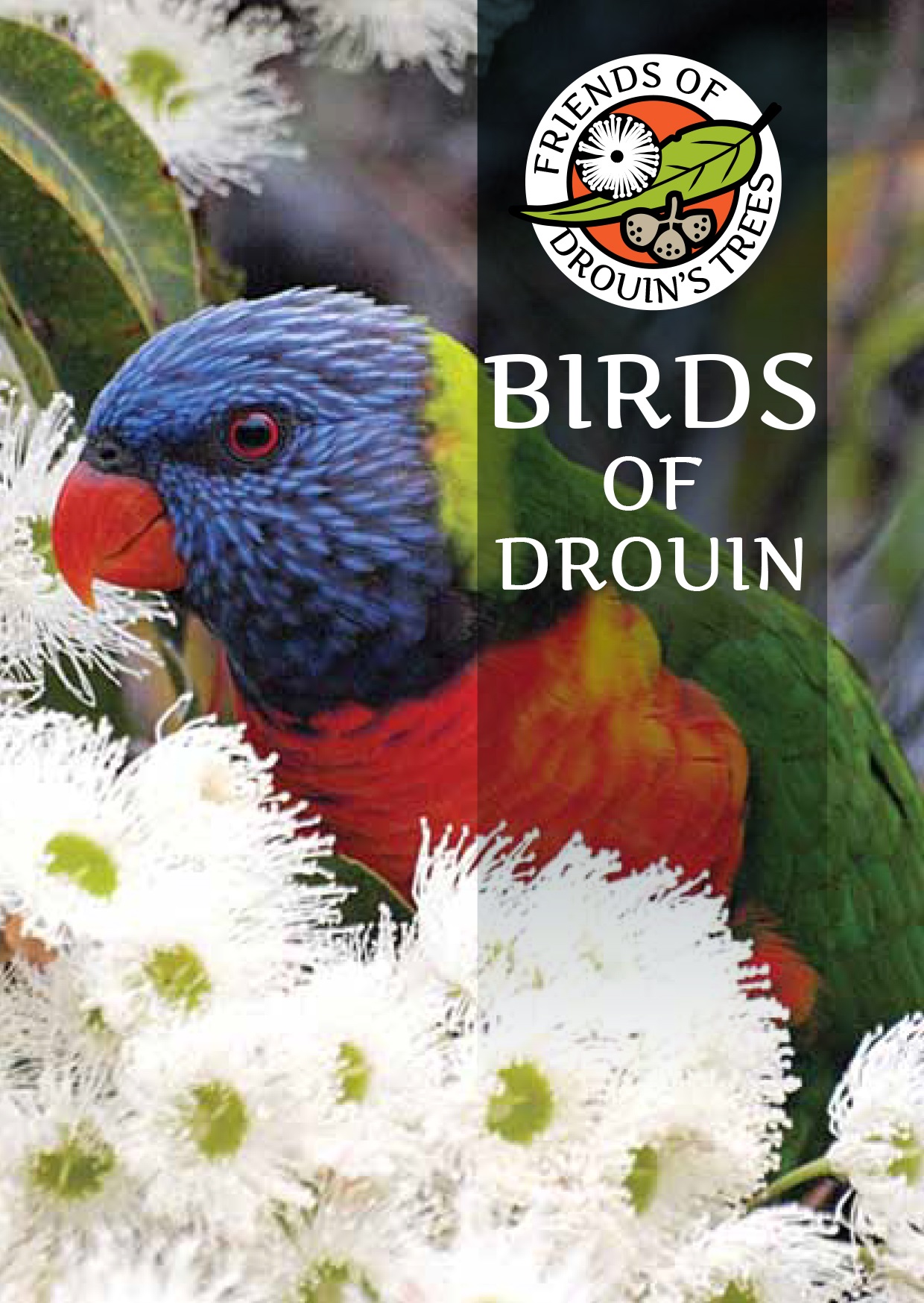 Birds-of-Drouin-Book-One.jpg