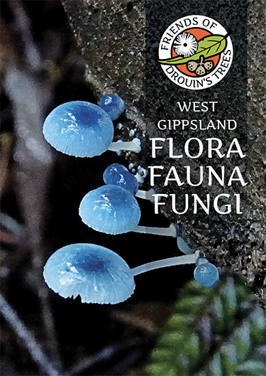 Flora-Fauna-and-Fungi-Cover.png