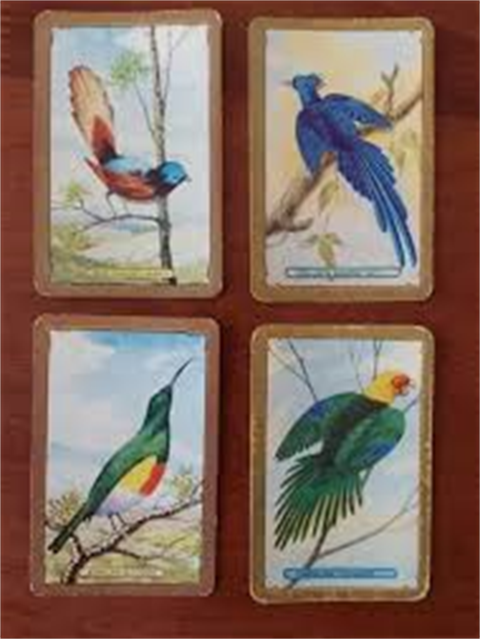 Swap-Card-Image.png